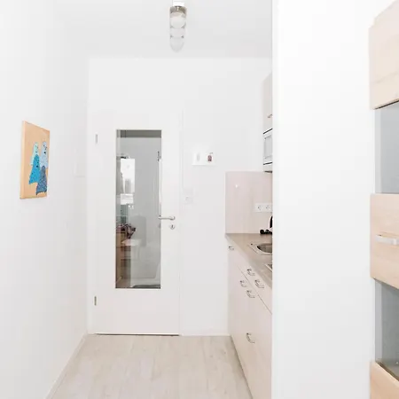 Metropol 7, Lachmoewe